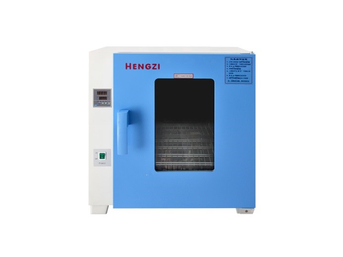 电热恒温鼓风干燥箱HGZF-101